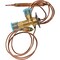 Complete Tractor Expansion Valve For Ford/New Holland 2600, 3600, 4600, 5110, 5600; 1106-7063 - alternate 4